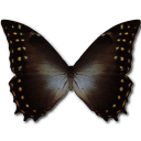 Morpho Amphitrion Sticker