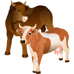 Cattle Sticker