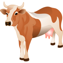 Cow Sticker