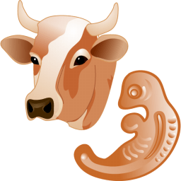 Cow Embryo Sticker