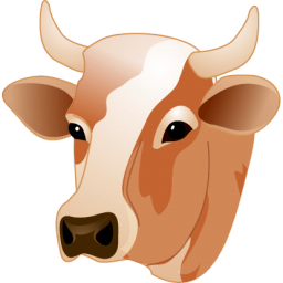 Cow Head Sticker