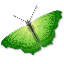 Butterfly Sticker