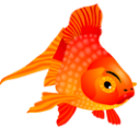 Fish Sticker