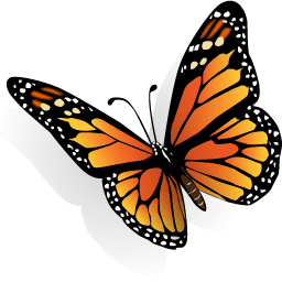 Butterfly Sticker