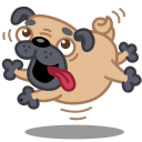 Dog Pug Sticker