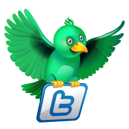 Twitter Flying Green Sticker