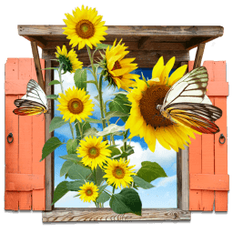 Flowers Sunflowers Window Sticker