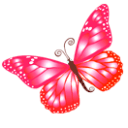 Butterfly Pink Sticker