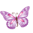 Butterfly Purple Sticker