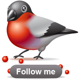 X-mas Bullfinch Follow Sticker