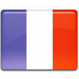 France Flag Sticker