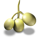 Grapes Sticker