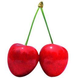 Cherry Sticker