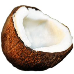 Coconut Sticker