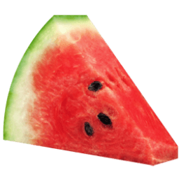 Watermelon Sticker