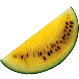 Yellow Watermelon Sticker