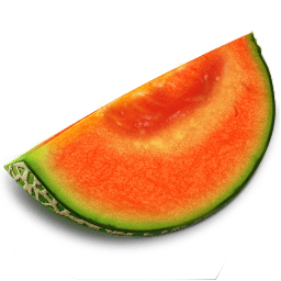 Melon Sticker