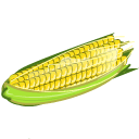 Corn Sticker