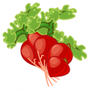 Radish Sticker