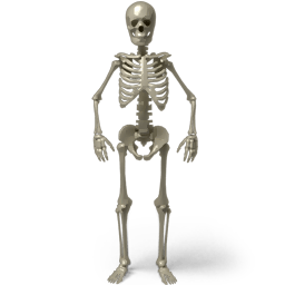 Standing Skeleton Sticker