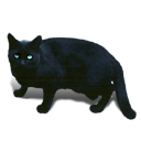 Black Cat Green Eyes Sticker