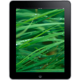 Ipad Front Grass Background Sticker