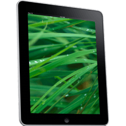 Ipad Side Grass Background Sticker