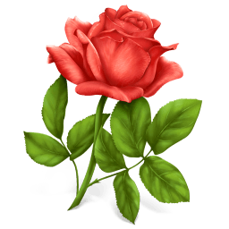 Rose Sticker