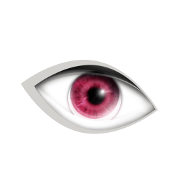 Eye Sticker