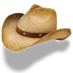 Hat Cowboy Straw Sticker