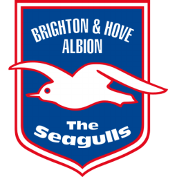 Brighton Hove Albion Sticker