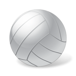 Volleyball Ball Sticker