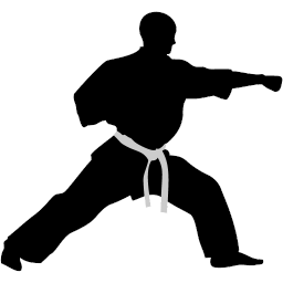Karate Punch Sticker