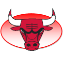 Bulls Sticker