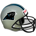 Panthers Sticker