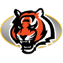 Bengals Sticker