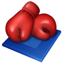 Boxing Sticker