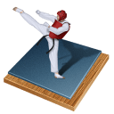 Taekwondo Sticker