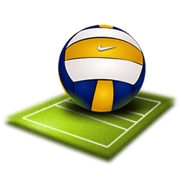 Volleyball Sticker